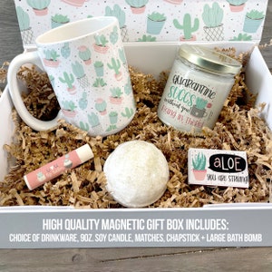 Quarantine Gift Set | quarantine succs funny missing you gift box succulent gift box | quarantine gift box for family friends BOX-001