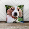personalized pet photo pillow | pet throw pillow | add pet's name | pet throw pillow dog pillow | dog's face on a pillow | cat pillow | dog