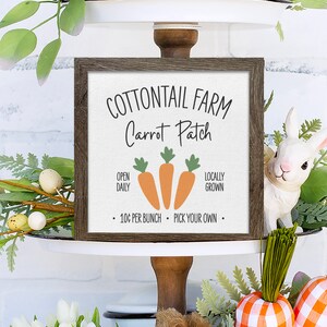 May include: A rustic wooden sign with the text "COTTONTAIL FARM Carrot Patch" and three orange carrots. The sign also says "OPEN DAILY", "LOCALLY GROWN", and "10¢ PER BUNCH PICK YOUR OWN."