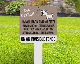 no fence for dog