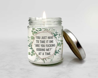 funny snarky candle gift candle gifts for self or friends just have to take it one are you kidding me at a time soy wax candle cndl-030