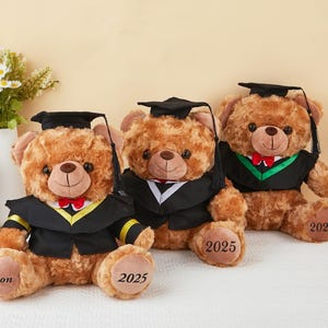 Personalized Name Graduation Bear 2025,Custom Plush Bear Preschool Graduation Gift,Grad Teddy Graduation Gift,College Grad Gifts