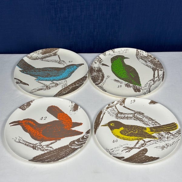 Vintage Thomas Paul Melamine* Bird Design Plates | “Ornithology”  Collection | Summer Dining | Decoration |Melamine Plastic | 9” | |Set of 4