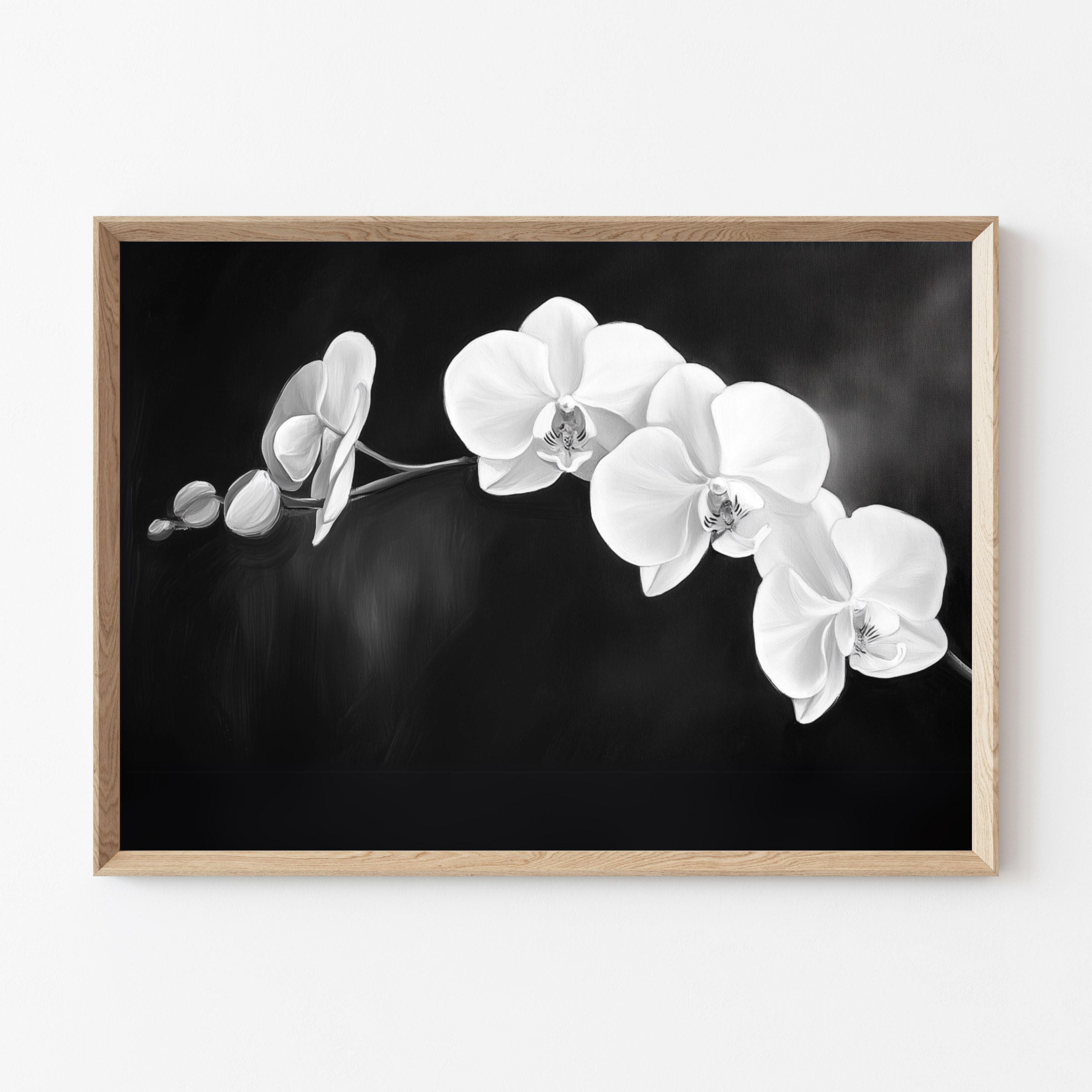 Bláthanna Gorm - Grianghraif d'Athair, image size:3000x3000