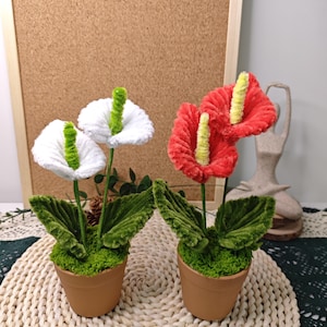 Puede incluir: Dos plantas artificiales en maceta con flores rojas y blancas. Las flores están hechas de limpiapipas y tienen una textura peluda. Las plantas están en macetas de terracota con musgo verde alrededor de la base.