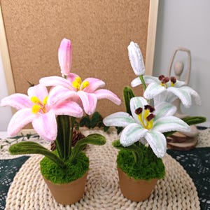 May include: Two potted artificial lily plants, one with pink flowers and one with white flowers. The plants are in brown pots with green moss and are sitting on a woven placemat.