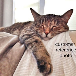 May include: A tabby cat with brown and black stripes is sleeping on a white shirt. The cat's eyes are closed and its paws are tucked under its body.