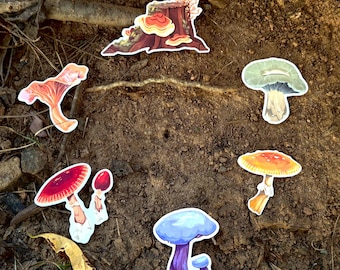 Mushroom Stickers - (Jackson's Amanita, Chanterelle, Green Bolete, Yellow Patches, Wood Blewit)