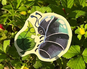 Pillbug Sticker