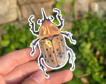 Eastern Hercules Beetle Sticker