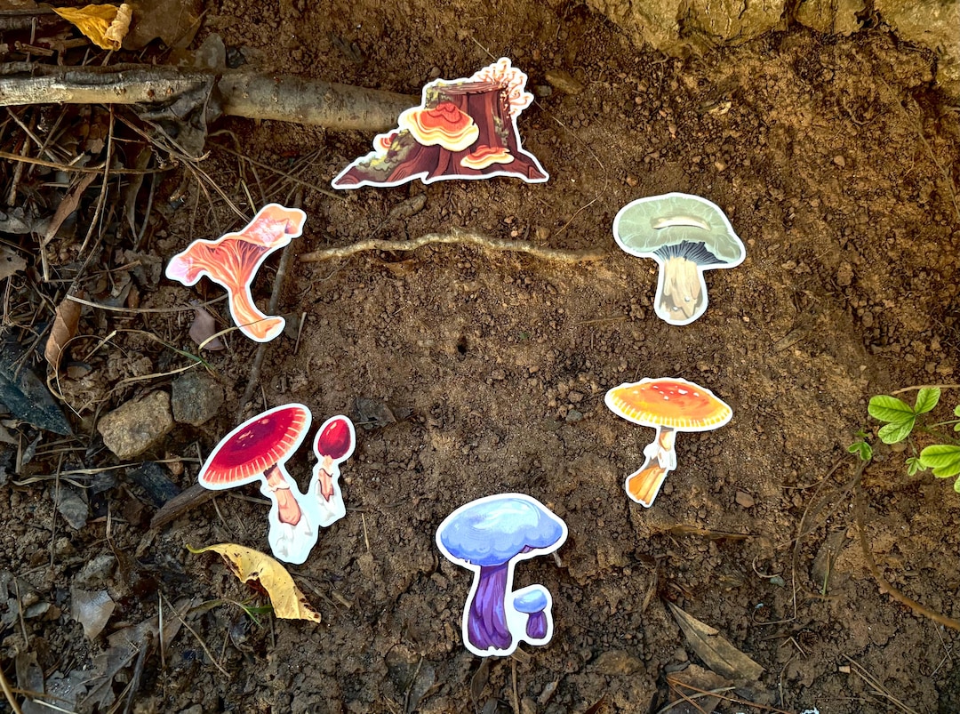 Mushroom Stickers jackson s Amanita Chanterelle Green Bolete mushroom-stickers-jackson-s-amanita-chanterelle-green-bolete