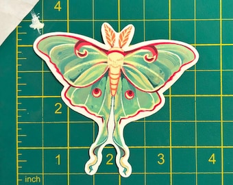 Hand-Drawn Luna Moth Vinyl Sticker
