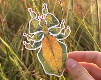 Malaysian Leaf Insect STICKER