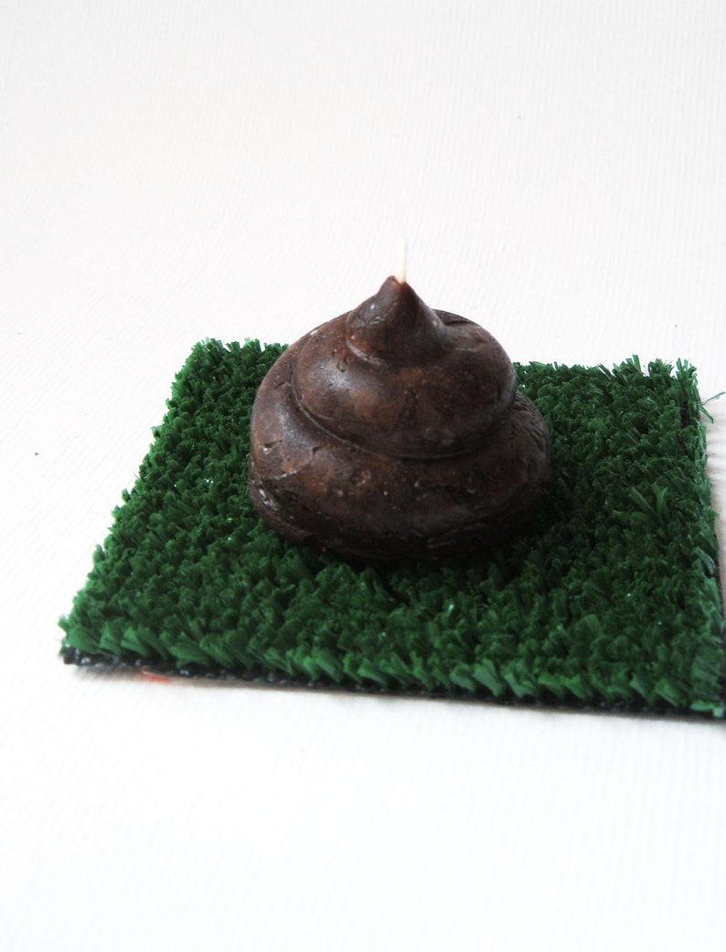 Cute POO Candle with Portable Turf  chocolate scented image 1