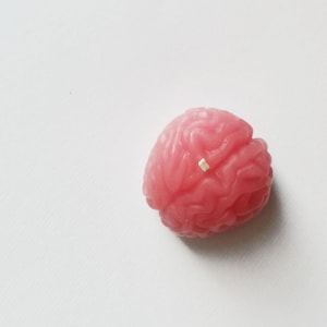 MONKEY BRAIN CANDLE - Pink Melon Scented
