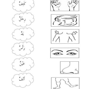 Body Parts in Arabic