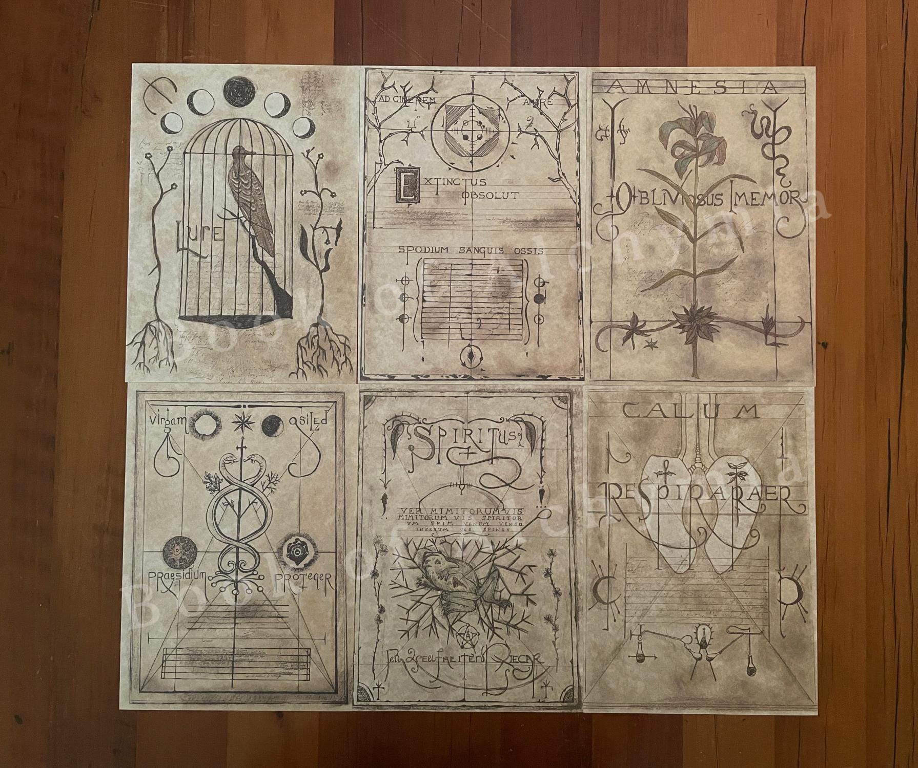 Practical Magic Spellbook Replica Pages Vol I ~ for Book of Shadows ...