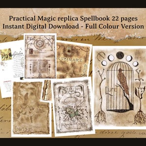 Páginas de réplica del libro de hechizos de Practical Magic - Versión a todo color - Descarga digital - Colección de 22 páginas - Libro de las Sombras -