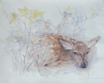 As Is Vintage 1976 Mads Stage Baby / Fawn Roe Deer Print, 19.5" High x 27.25" Wide, Damage, Wrinkling to Paper, Pinholes in Corners