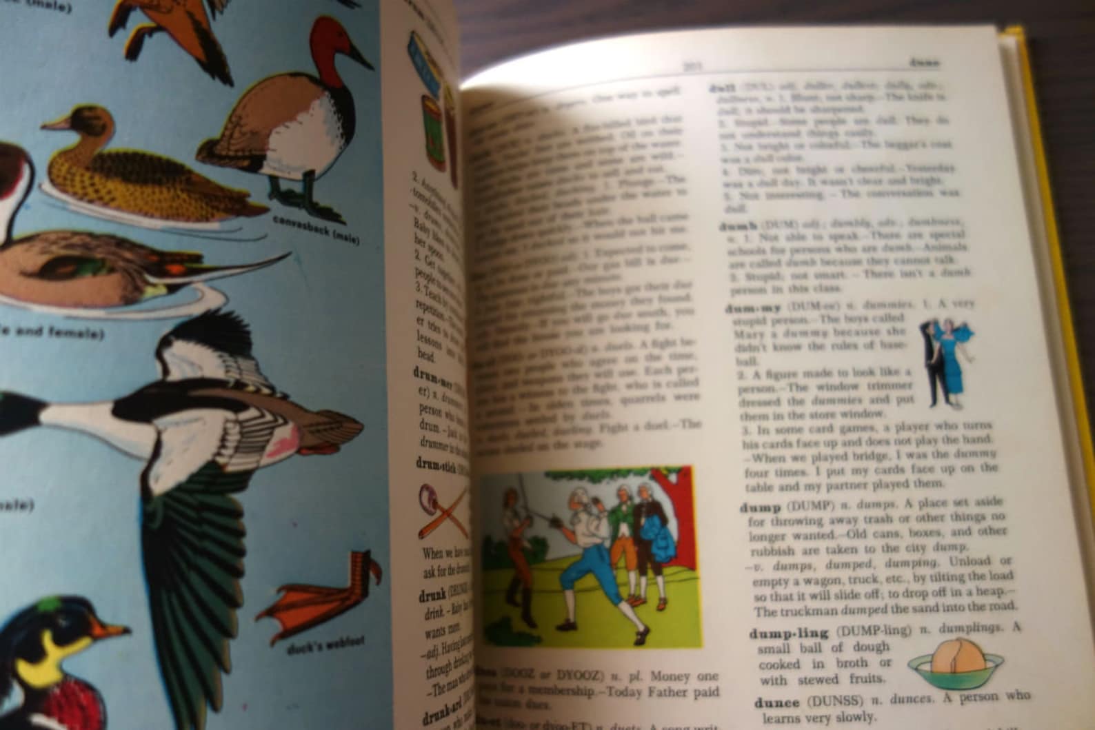 Golden Book Dictionary Illustrated Dictionary Volume 2 Ch to Etsy