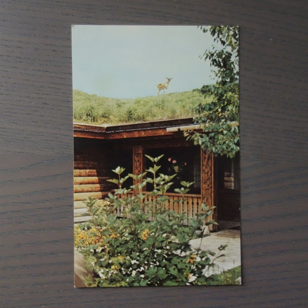 Al Johnson's Swedish Restaurant and Butik Postcard with Goat on the Roof, Sister Bay, Door County, Wisconsin