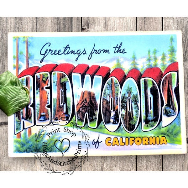Greetings From The Redwoods California Large Letter Souvenir Postcard Gift or Scrapbook Tags or Magnet #G 15