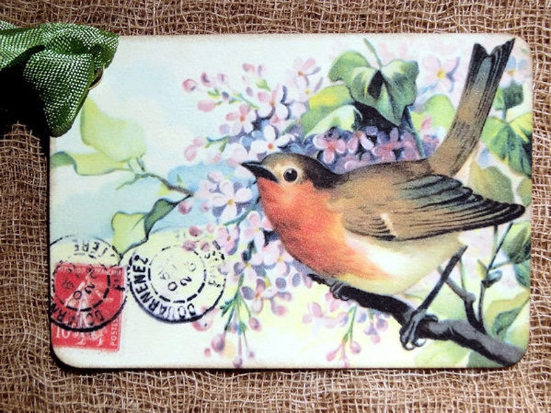 Sweet Robin Bird On Branch Postcard Gift or Scrapbook Tags or Magnet #458