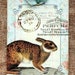 French Style Bunny Rabbit Gift or Scrapbook Tags or Magnet 592 - Etsy