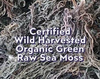 Certified Wild Harvested Organic Green Raw Sea Moss St. Lucia Dr. Sebi