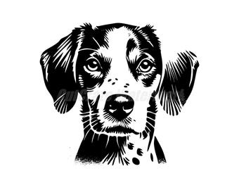 A stencil-style  Harrier Svg Dxf and Png files - instant digital downloads