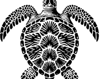 Loggerhead Sea Turtle Svg and Png files - instant digital downloads
