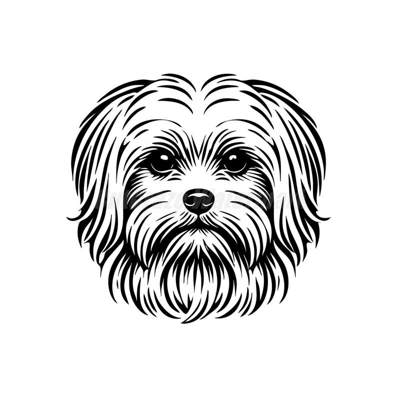 Vector Stencil Maltese Svg Dxf and Png Files - Instant Digital ...