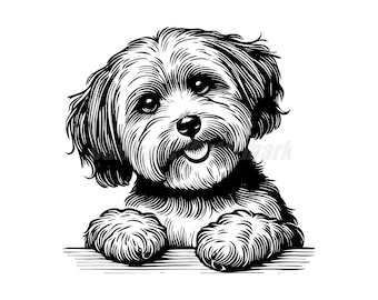 Cute Peeking Havanese Dog SVG – Commercial Use (Digital Download)
