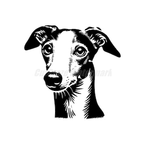 Un levriero italiano in stile stencil file Svg Dxf e Png - download digitali immediati