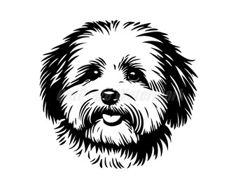 A stencil-style Coton de Tulear Svg Dxf and Png files - instant digital downloads