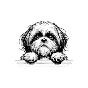 Peeking mignon Shih Tzu Svg Dxf et Png fichiers - téléchargements numériques instantanés