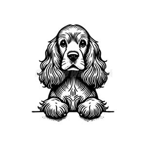 Può includere: Illustrazione in bianco e nero di un cocker spaniel con lunghe orecchie pendenti. Il cane guarda direttamente lo spettatore con le zampe appoggiate su una superficie.