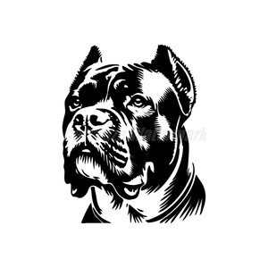 Könnte beinhalten: Schwarzweiß-Illustration des Kopfes eines Cane Corso. Der Hund hat einen ernsten Ausdruck und seine Ohren sind aufgestellt.
