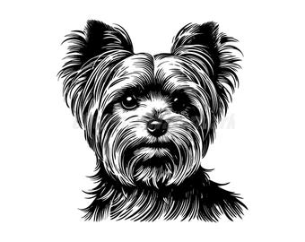 Vector stencil  Yorkshire Terrier  Svg Dxf and Png files - instant digital downloads