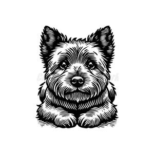 Cute Peeking Pose Cairn Terrier dog Svg Dxf and Png files - instant digital downloads