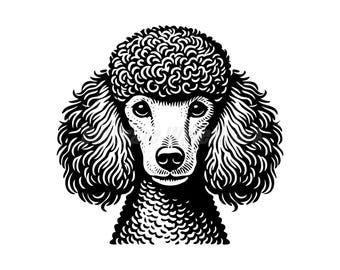 Vector stencil  Poodle Svg Dxf and Png files - instant digital downloads