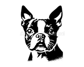 A stencil-style Boston Terrier Svg Dxf and Png files - instant digital downloads