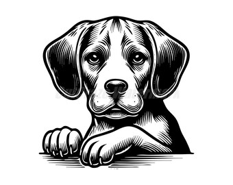 Cute Beagle Peeking SVG – Commercial Use (Digital Download)