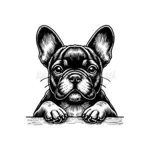 Peeking süße französische Bulldogge SVG Dxf und Png-Dateien - sofortiger digitaler Download
