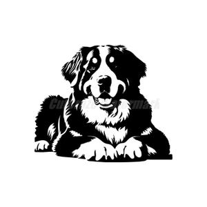 Ein Berner Sennenhund im Schablonenstil
