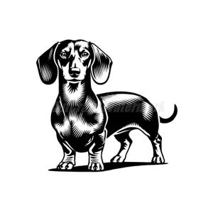 Dackel Wurst wiener Hund Haustier loverSvg Dxf und Png Dateien - sofortige digitale Downloads