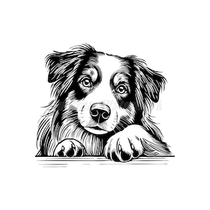 Pode incluir: Ilustração em preto e branco de um cão olhando para a câmera com as patas apoiadas em uma superfície. O cão tem uma pelagem preta e branca e um focinho longo.