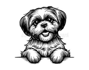 Peeking pose Shih Tzu Svg Dxf and Png files - instant digital downloads