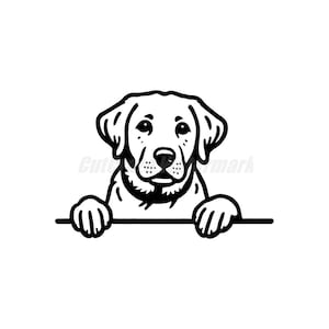 peeking labrador retriever graphic theme  dog pet lover Svg Dxf and Png files - instant digital downloads