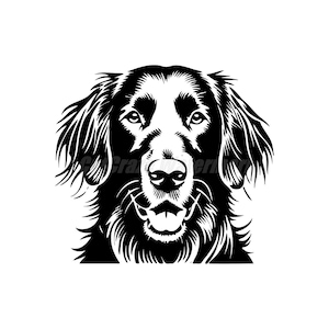 Puede incluir: Ilustración en blanco y negro de la cabeza de un perro. El perro tiene un hocico largo y orejas caídas. El perro está mirando directamente al espectador.